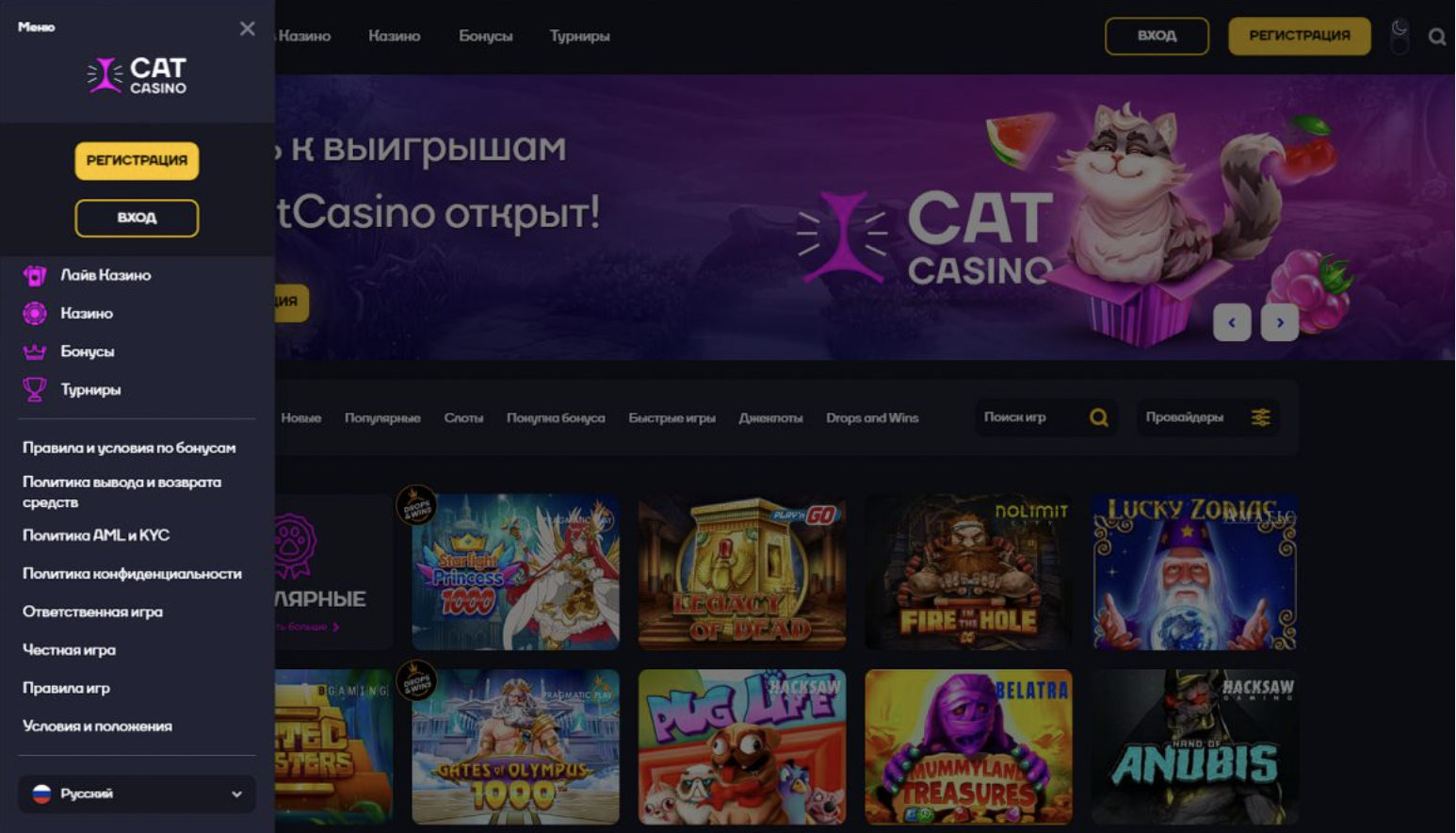 Защита данных Cat Casino